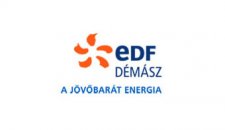 Démász Rt. logó